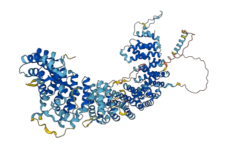 TTI1 3D structure