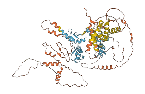 ZBTB24 3D structure