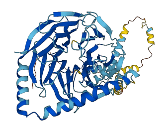 PRPF4 3D structure
