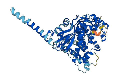 CYP26A1 3D structure