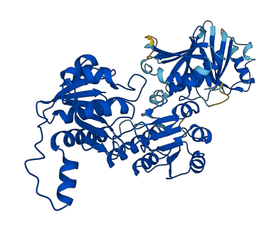 PHGDH 3D structure