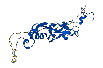NDUFS4 3D structure
