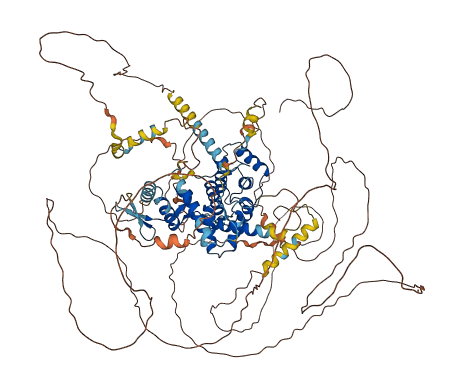 ARHGAP6 3D structure