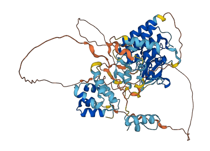 IRAK2 3D structure