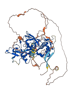 PHF1 3D structure
