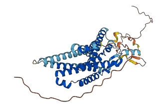 MLNR 3D structure