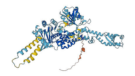 MSH5 3D structure