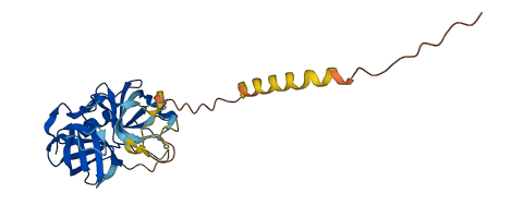 KLK10 3D structure