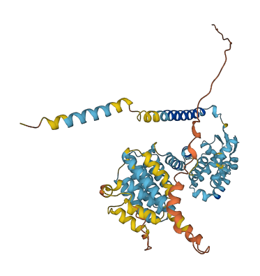 PSMD3 3D structure