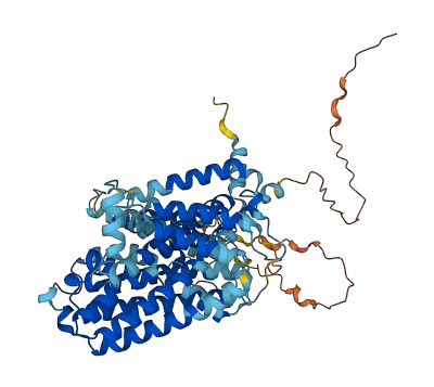 SLC7A4 3D structure