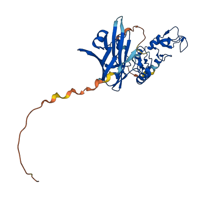 SIAH2 3D structure