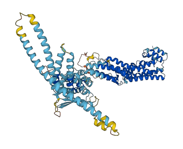 ZW10 3D structure