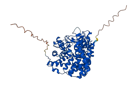 TREH 3D structure
