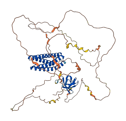 EFS 3D structure
