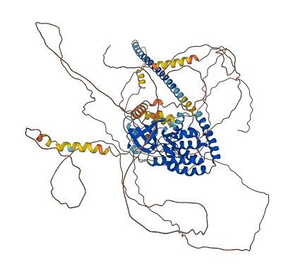 MAP3K13 3D structure