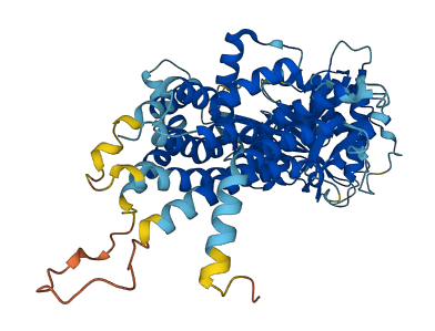 GPAA1 3D structure