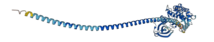 DAPK3 3D structure