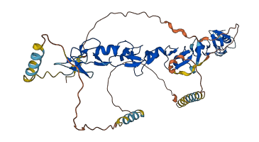 TGFB1I1 3D structure