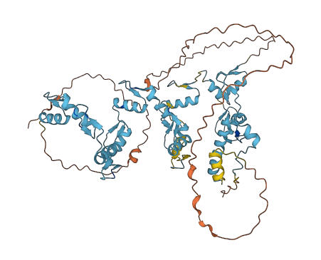 ZNF264 3D structure