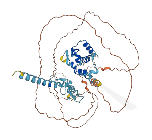 ZBTB43 3D structure