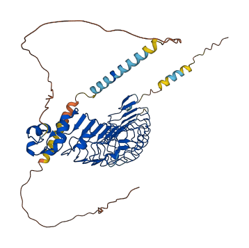 LRRTM2 3D structure