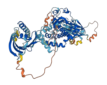 SEC14L5 3D structure