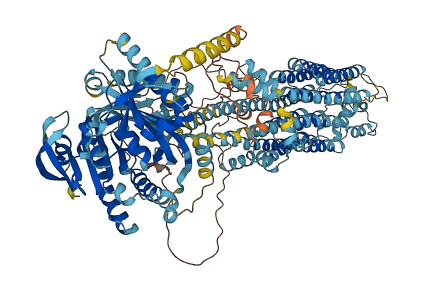 ADCY6 3D structure