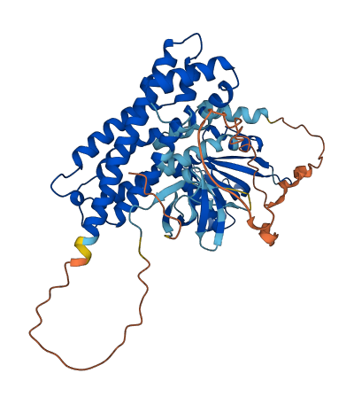 ARHGEF9 3D structure