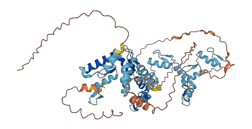 ZSCAN12 3D structure