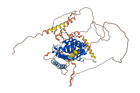 CTIF 3D structure