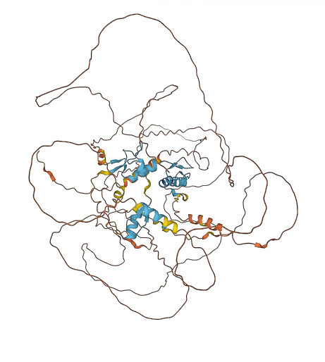 ATMIN 3D structure