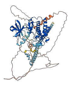 MAP3K7 3D structure