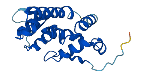 EEF1E1 3D structure