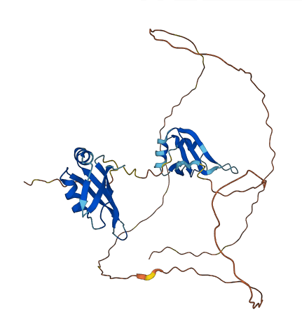 MSI1 3D structure