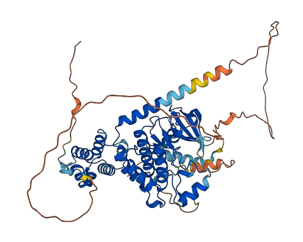 RIPK2 3D structure