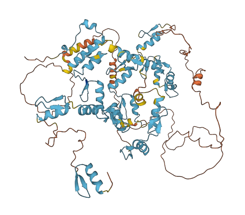 ZNF749 3D structure