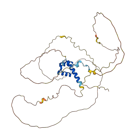 HOXA2 3D structure