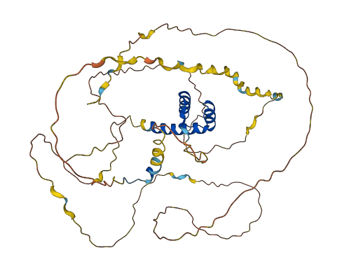 HOXA3 3D structure