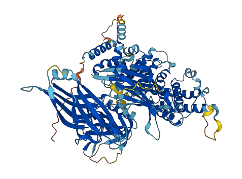 RASA4 3D structure
