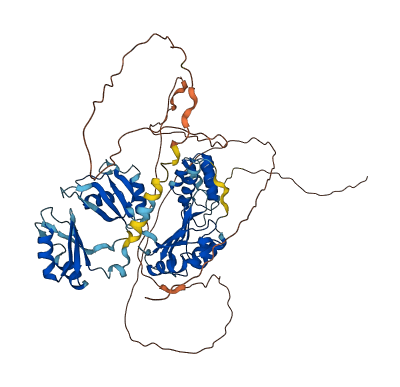 HNRNPR 3D structure