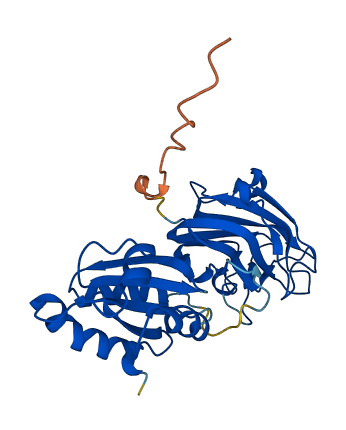 TXNL1 3D structure