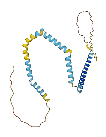 TPD52L2 3D structure
