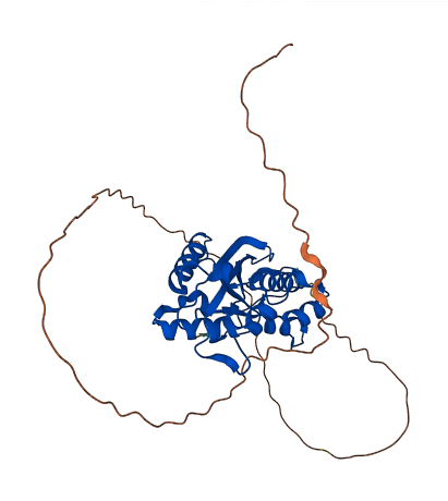 ERI3 3D structure