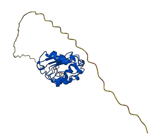 ANP32C 3D structure