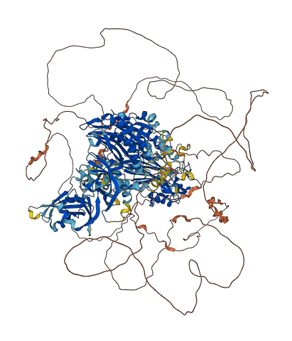 SYNJ1 3D structure
