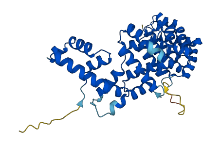 FIBP 3D structure