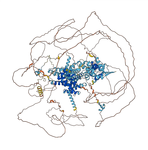 EIF4G3 3D structure