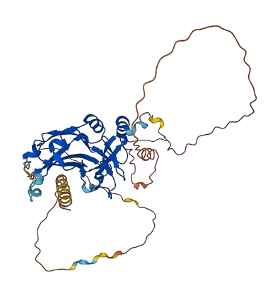 TBX1 3D structure