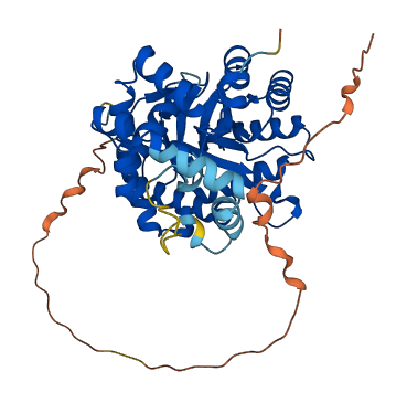 KCNAB3 3D structure