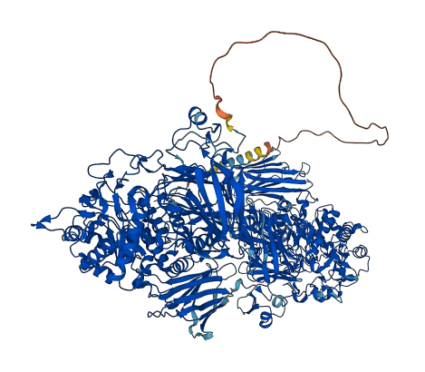 MGAM 3D structure